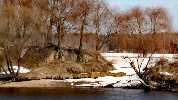 Последний снег Осокори Головкин
