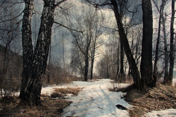 Весна последний снег