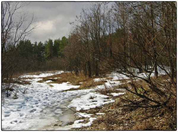 Ранняя Весна на Кубани