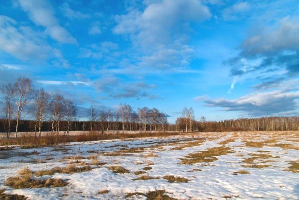 Ранняя Весна в поле