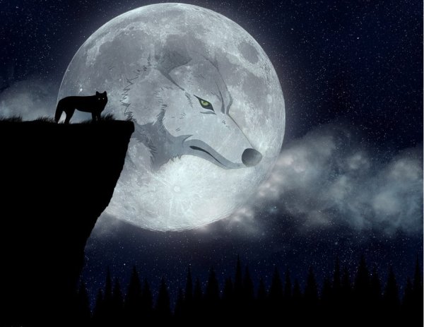 Волчий дождь Луна