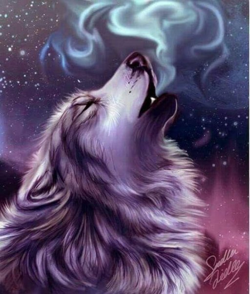 Волк на аву