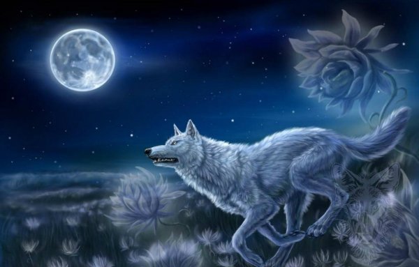 Мистические волки