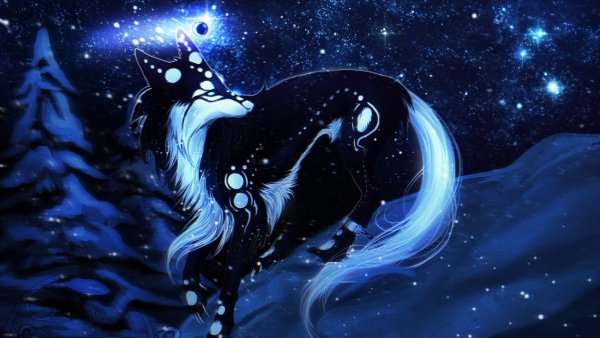 Лунная лиса