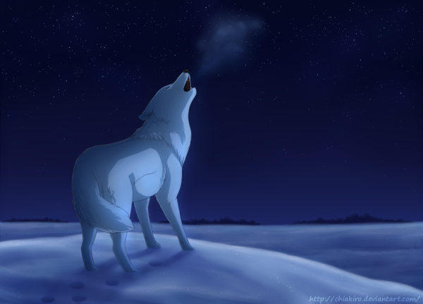 Белый волк воет