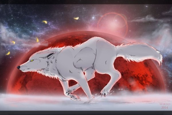 Аниме Волчий дождь белый волк