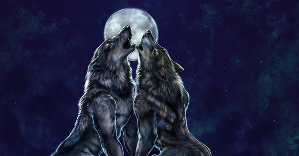 Оборотень воет