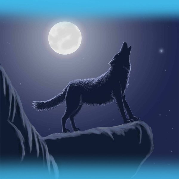 Волк воет на луну картинка