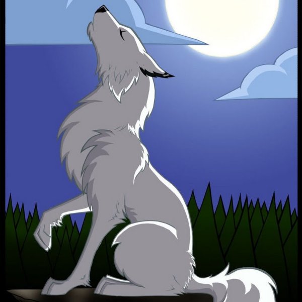 Волки Воители белая волчица