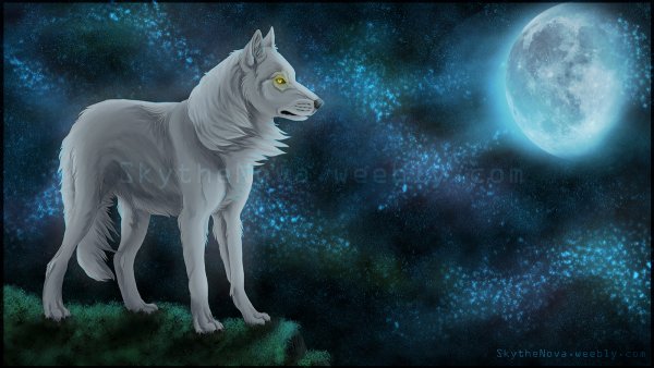 Белая волчица аниме с голубыми глазами