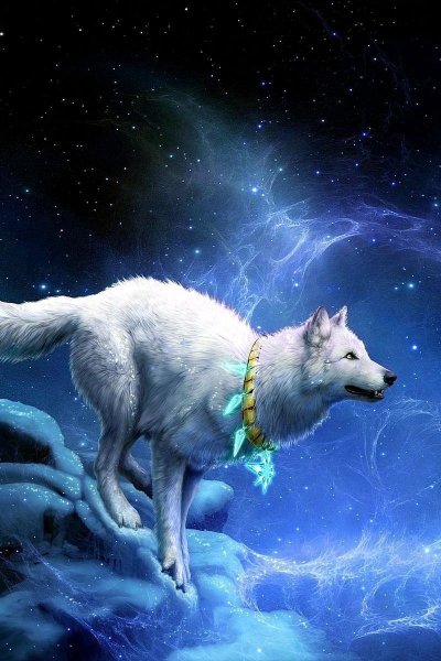 Волк и Луна