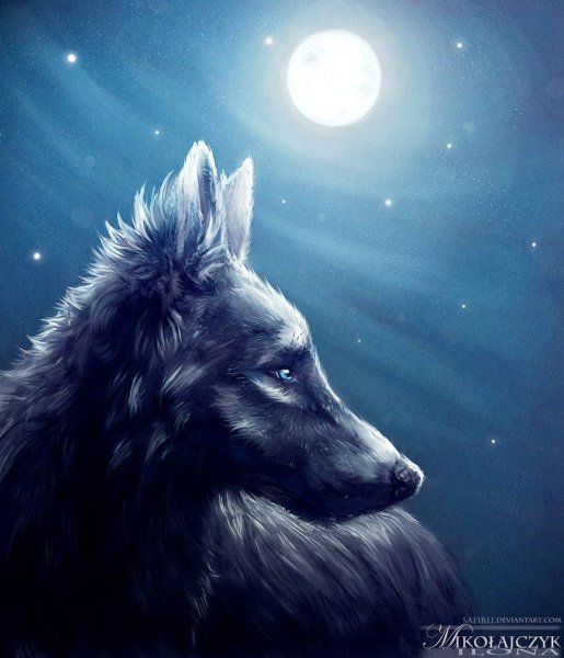 Звездный волк