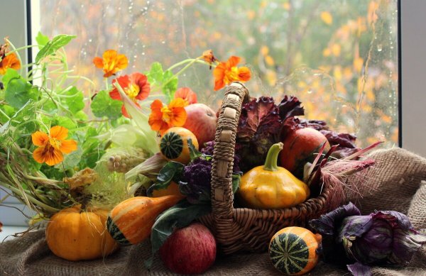 Натюрморт дары осени