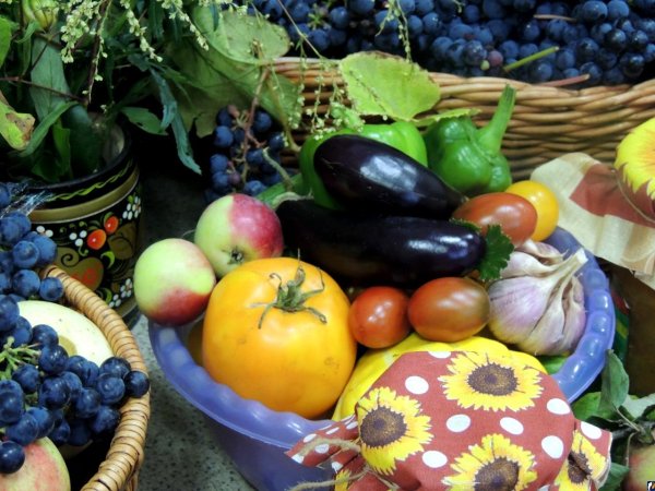 Дары осени овощи и фрукты