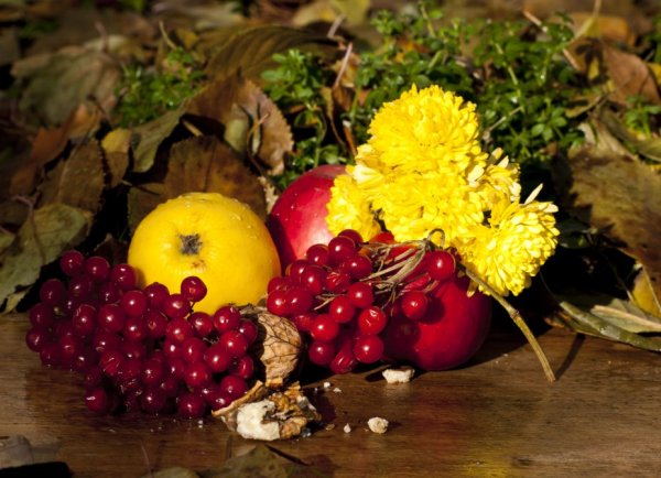 Дары щедрой осени