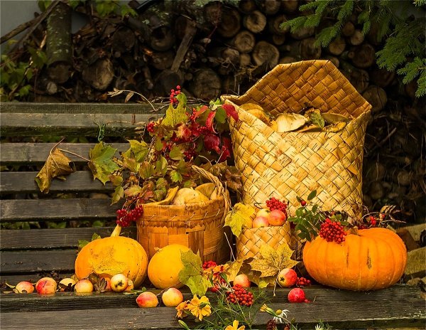 Осенние дары