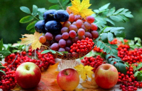 Дары природы