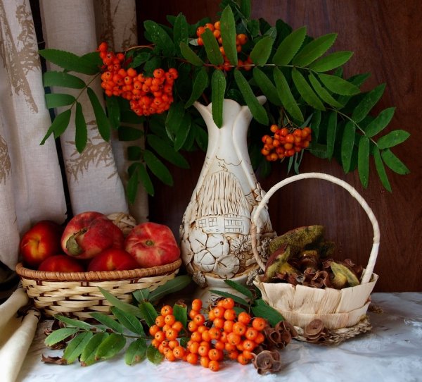 Натюрморт урожай