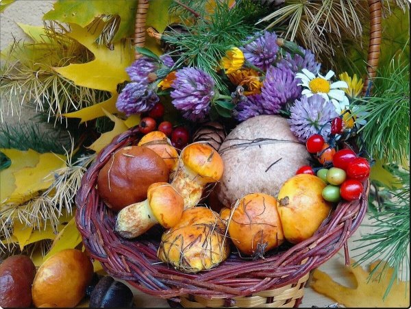 Осенины дары осени