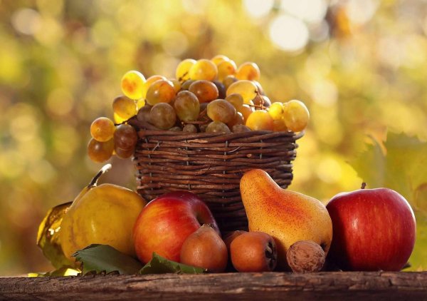 Осенние дары природы