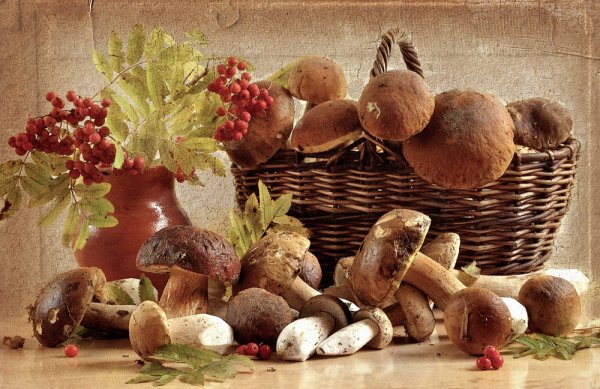 Натюрморт грибы и ягоды