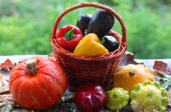 Осень дары природы