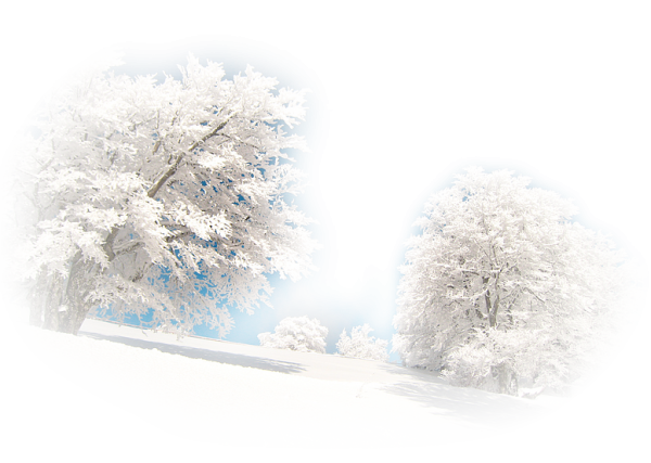 Зима на прозрачном фоне