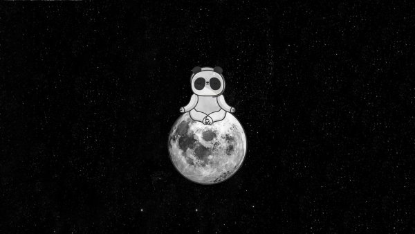 Космическая Панда