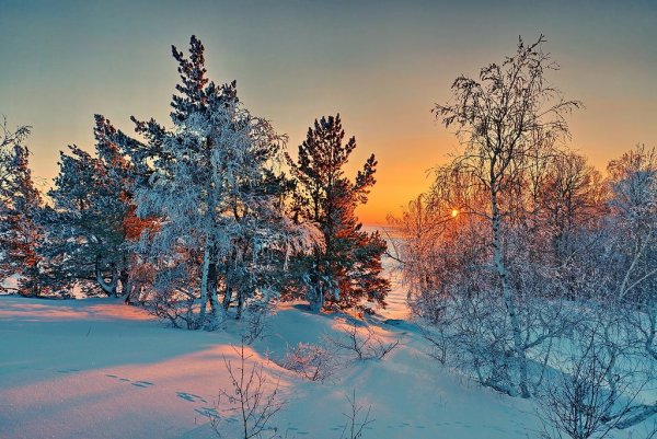 Зима Анненский