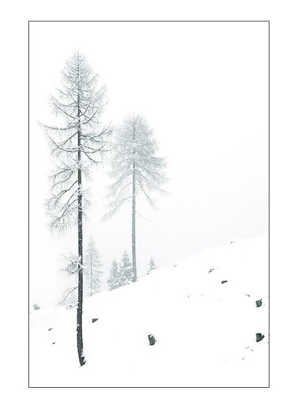 Иллюстрация к стихотворению Анненского снег