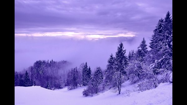 Анненский снег