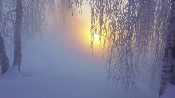 Тишина зима