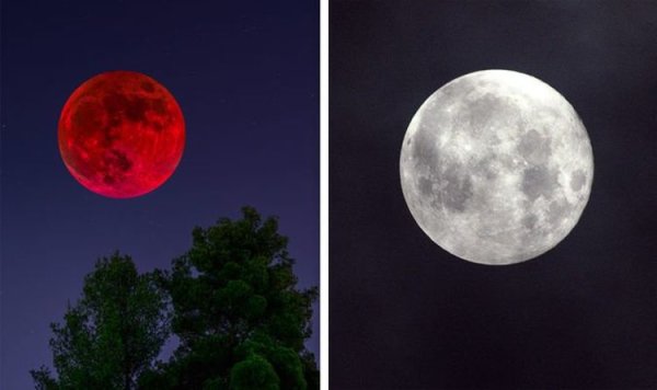 Moon Eclipse 2021