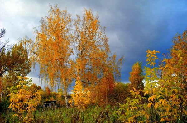 Золотая осень Орск Урал