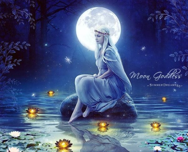 Wind Moon Fairy Дименшенс