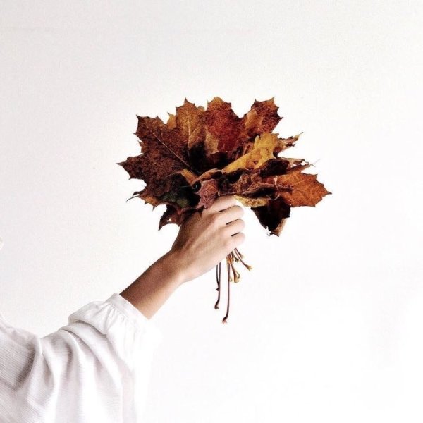 Осень Эстетика