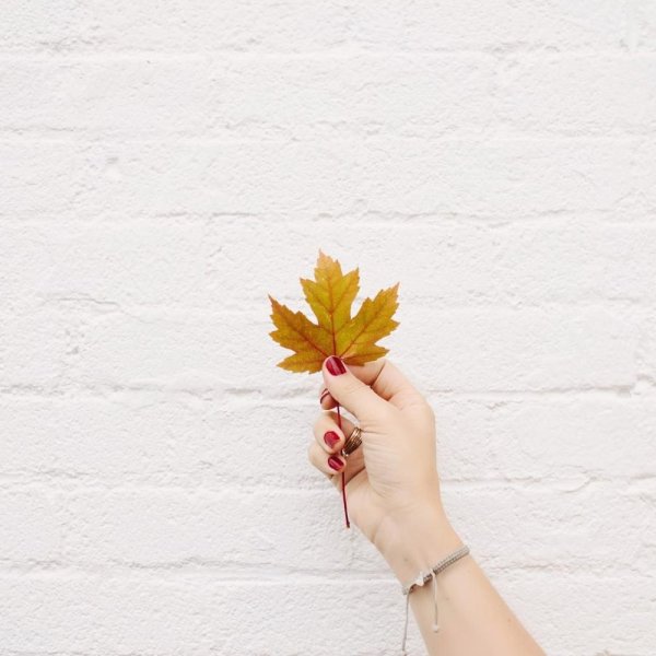 Осенние листья Минимализм