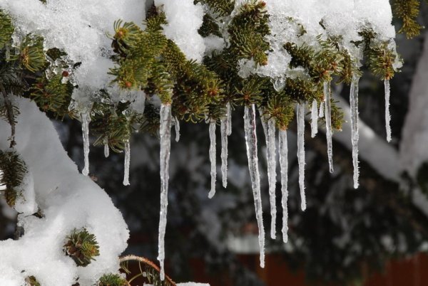 Сосульки зимой