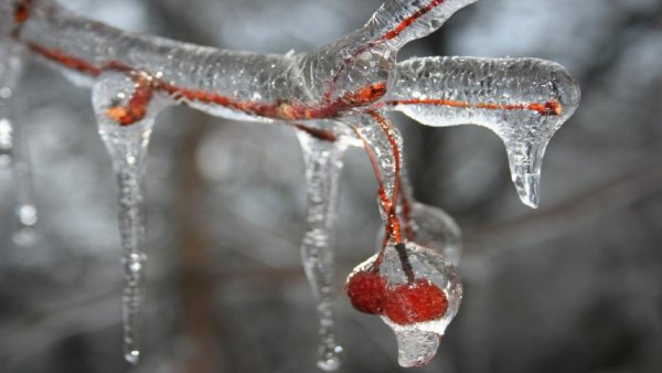 Зима сосульки