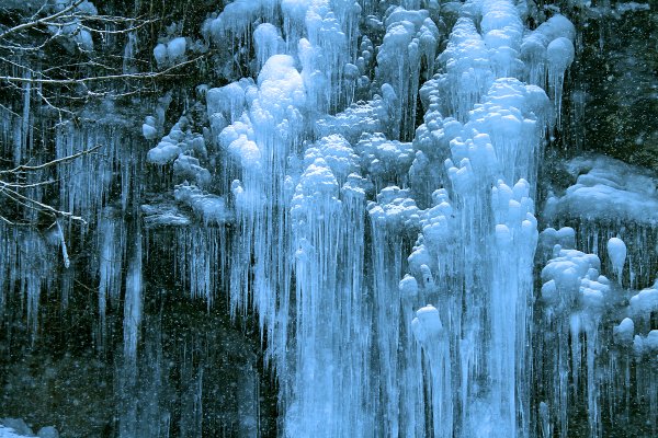 Сосульки в лесу