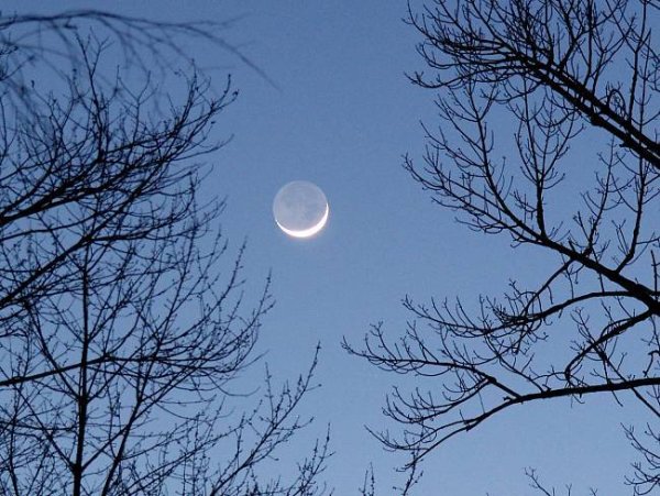 Дневная Луна