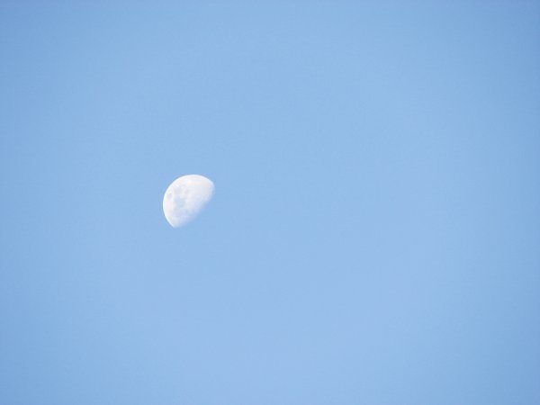 Луна на дневном небе