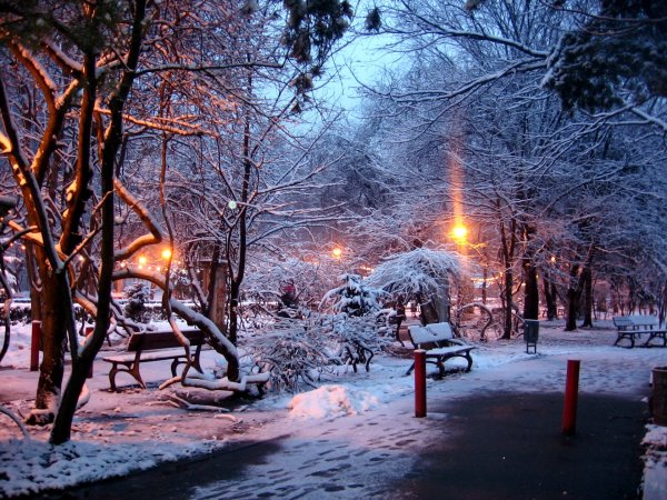 Зима в городе