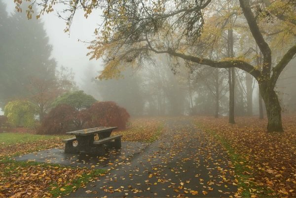 Пасмурная осень