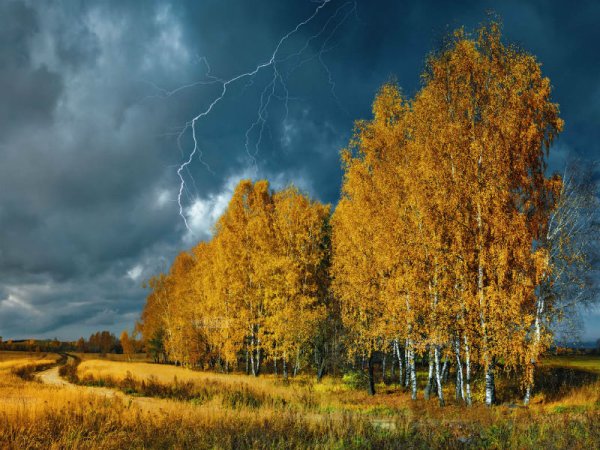Осень перед дождем