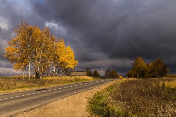 Пасмурная осень