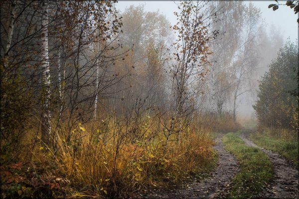 Поздняя осень Пермский край