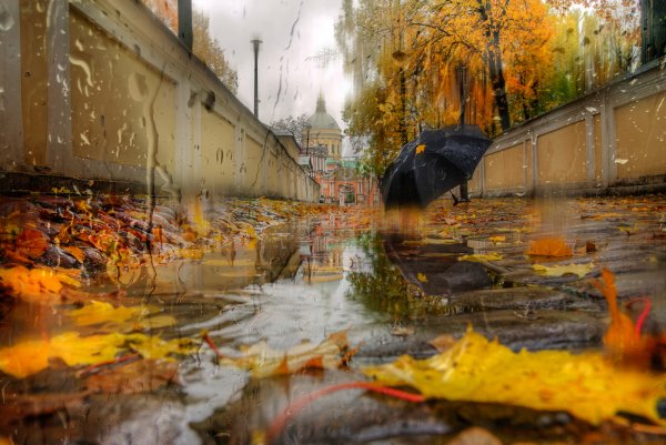 Эдуард Гордеев осенний Петербург
