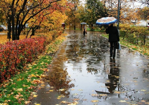 Дождливый осенний день