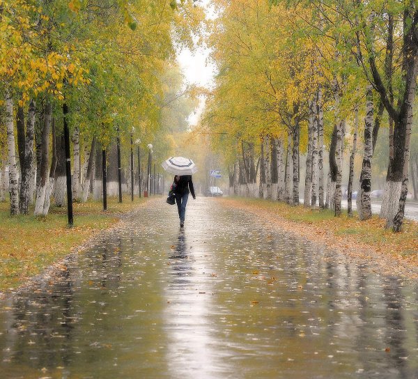 Пасмурный осенний день в городе